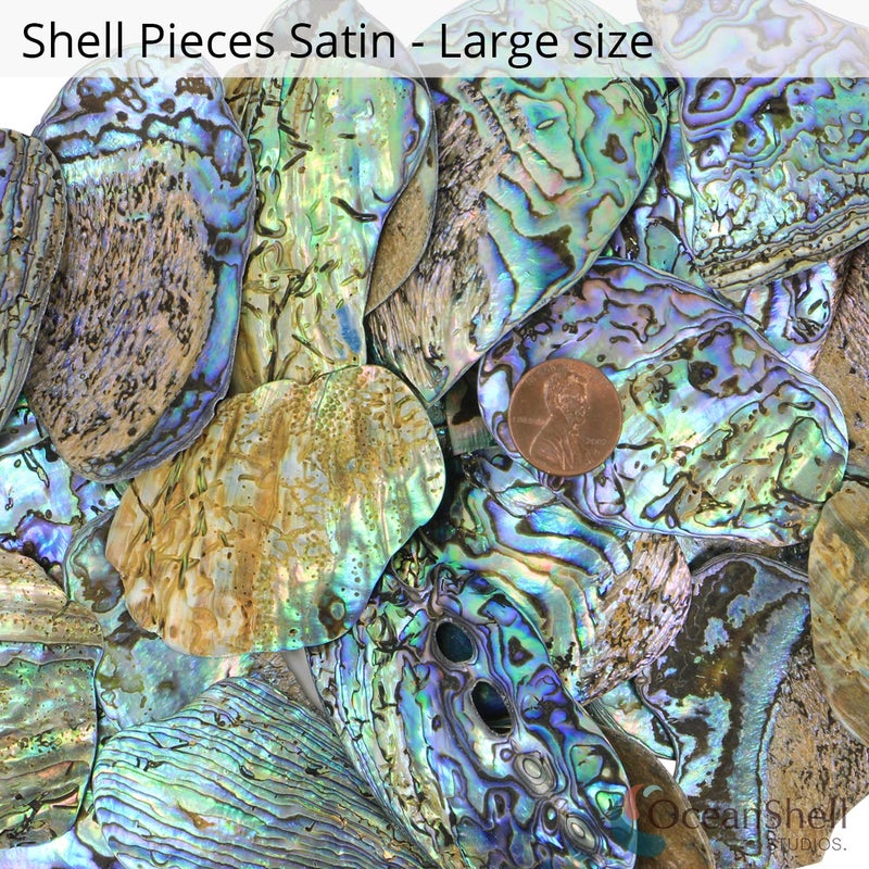 Ocean Shell Studios. Abalone (PÄua) Shell Pieces-7.05oz Pack-for Crafts, Jewelry Making, Resin Art, Inlay, Home Decorations, Fishtank Supplies, DIY Projects - Satin,Large-1.59"-2.55"- 7.05oz (200grams) - Image 2